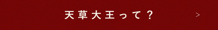 天草大王って？